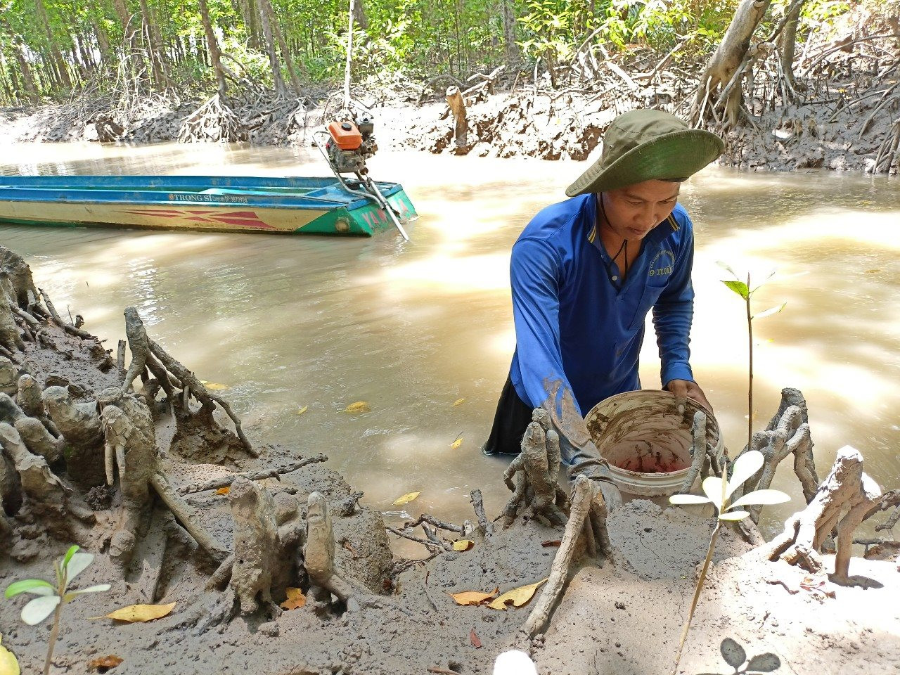 Chả ai ngờ chỉ dùng rập chuột, 